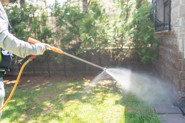 Reliable Fennville, MI Pest control Solutions